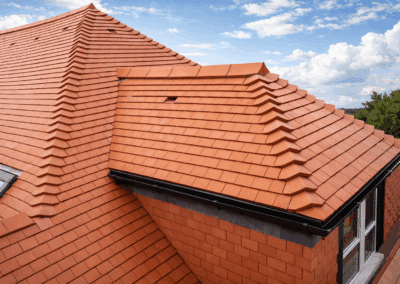 chatgpt image feb 23, 2026 at 11 36 46 pm