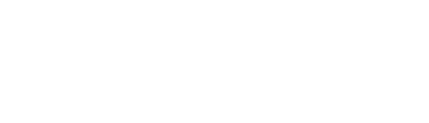 sreid roofing logo upscaled white
